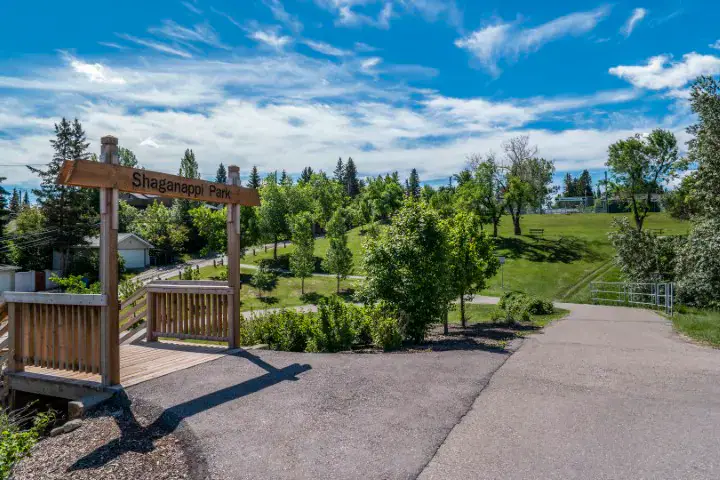 Shaganappi property and community context